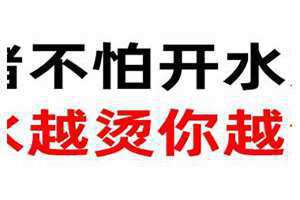 死猪不怕开水烫下一句 死猪不怕开水烫类似的句子