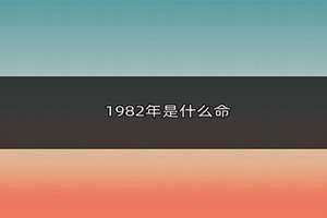 1982年是什么年天干地支(1982年是什么年)