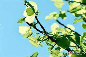 立春是几月几日2024(立夏是几月几日)