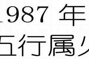 1987年属兔2024年的运势及运程(1987年属)