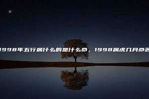 1998年是什么命五行属什么命(1998年是什么命)