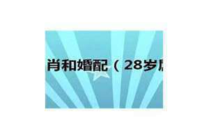 28岁属啥的今年2024 28岁属啥的 哪年出生