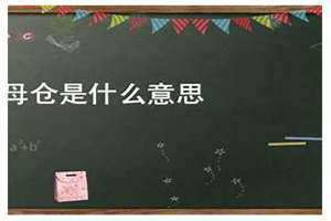 黄历中的母仓是什么意思(母仓是什么意思)