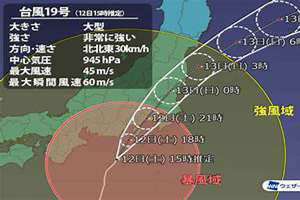 10月19号适合结婚吗(10月19号)