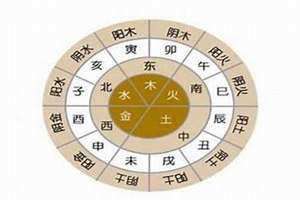子水是阴还是阳 戊土是阴还是阳