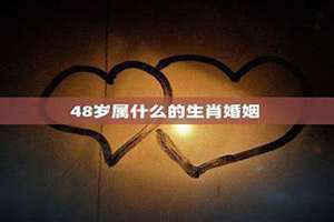 48岁属什么生肖 今年多大了(48岁属什么)