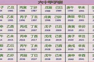 2021年辛丑年五行属什么(辛丑年五行属什么)