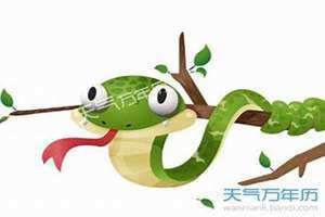 属蛇今年多少岁2024(属蛇今年多少岁)