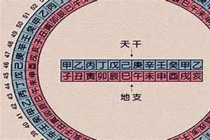 今年是什么年天干地支2024(今年是什么年天干地支)