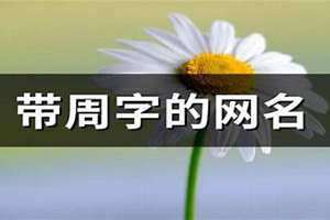 周字网名微信昵称 周字网名霸气