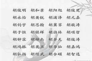 姓胡的男孩名字简单好听(姓胡的男孩名字)