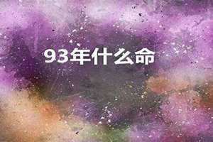 93年什么命五行什么命(93年什么命)