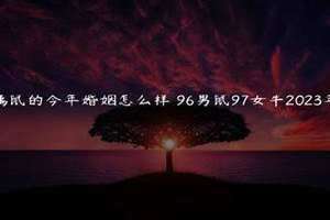 九六年的今年多大2024 九七年的今年多大了
