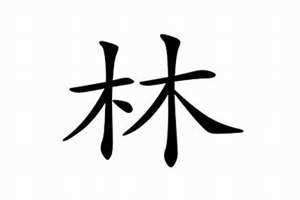 姓林的名字男孩(姓林的名字)