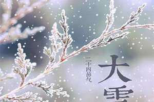 今天节气是什么日子啊(今天节气是什么)
