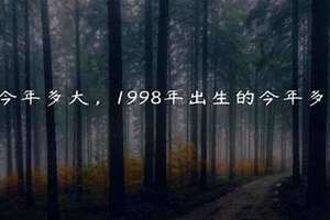 98年多大2024年多大 98年多大属什么