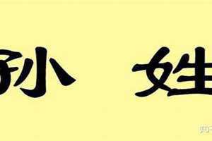 孙姓的来源和历史(孙姓的来源)