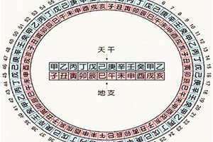 天干地支的读法视频 十二地支的正确读法