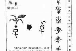 秀字五行属什么(季字五行属什么)