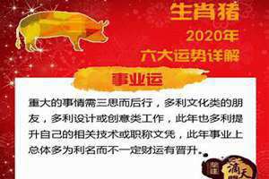 属猪运势2024年运势详解(属猪运势)