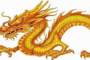 龙犯几月农历(龙犯几月)