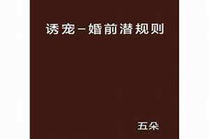 结婚前规则 电视剧 结婚前规则电视剧35集免费观看