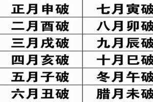 日值岁破什么意思(日值月破什么意思)