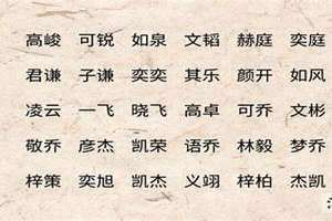 成语取名男孩名字(成语取名男孩)