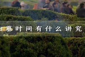 扫墓时间上午还是下午(扫墓时间)