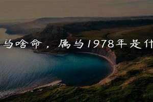 1978年属啥的今年多大(1978年属啥)