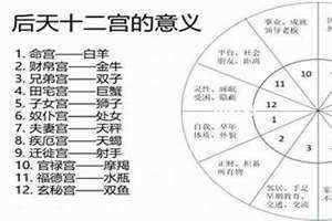 星座第六宫代表什么(第六宫代表什么)