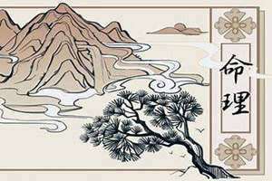 时柱伤官的男人 时柱伤官坐伤官