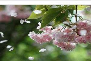 暮春是几月份公历 初春仲春暮春是几月份