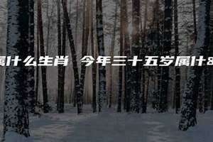 53岁属什么生肖2024年 53岁属什么的正确答案