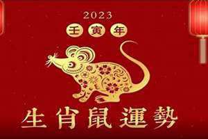 兔年运程2023生肖年运程图片(兔年运程2023生肖年运程)