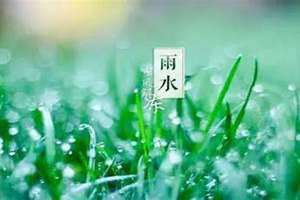 女生雨水是什么意思(雨水是什么意思)