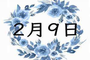 2月9日阳历是多少(2月9日)