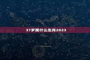 37岁属什么生肖今年多大了 37岁属什么生肖今年多大了2024年视频