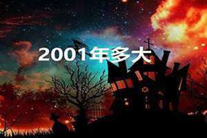 2001年多大了今年2024 2001年多大了属什么的