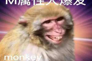 m属性大爆发(M属性)