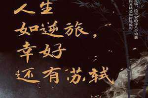 有苏鸩 有苏榆北的小说