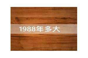 1988年多大了今年2024(1988年多大)