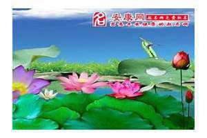 梦到荷花是什么预兆 梦到荷花池塘什么意思