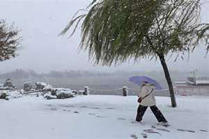 雪打雷什么预兆(雪打雷)