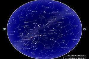 1月星座是什么星座查询(1月星座)
