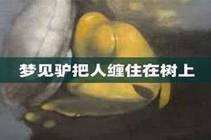 梦见驴是什么意思(梦见驴)