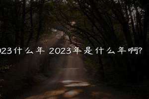 2023什么意思爱情 GDF2023什么意思