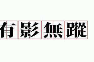 有影无踪的小说 有影无踪的生肖