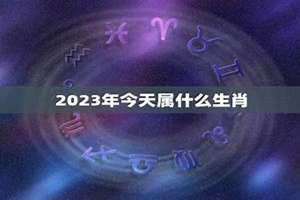 今天属什么生肖老黄历2024年(今天属什么)