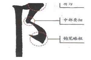 右耳旁的字大多数跟什么有关 单耳旁的字有哪些